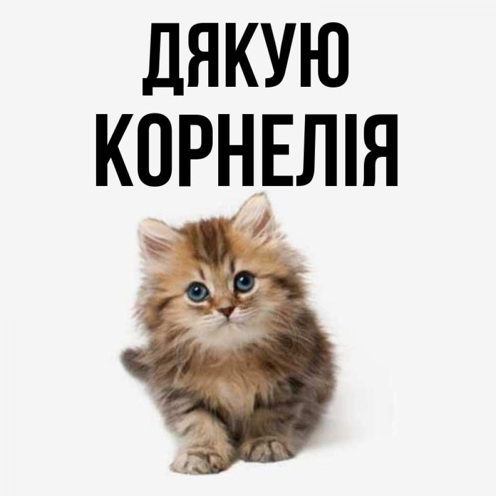 Открытка на каждый день з підписом, Корнелія Дякую пушистый котик Прикольна листівка з побажанням онлайн скачати безкоштовно 