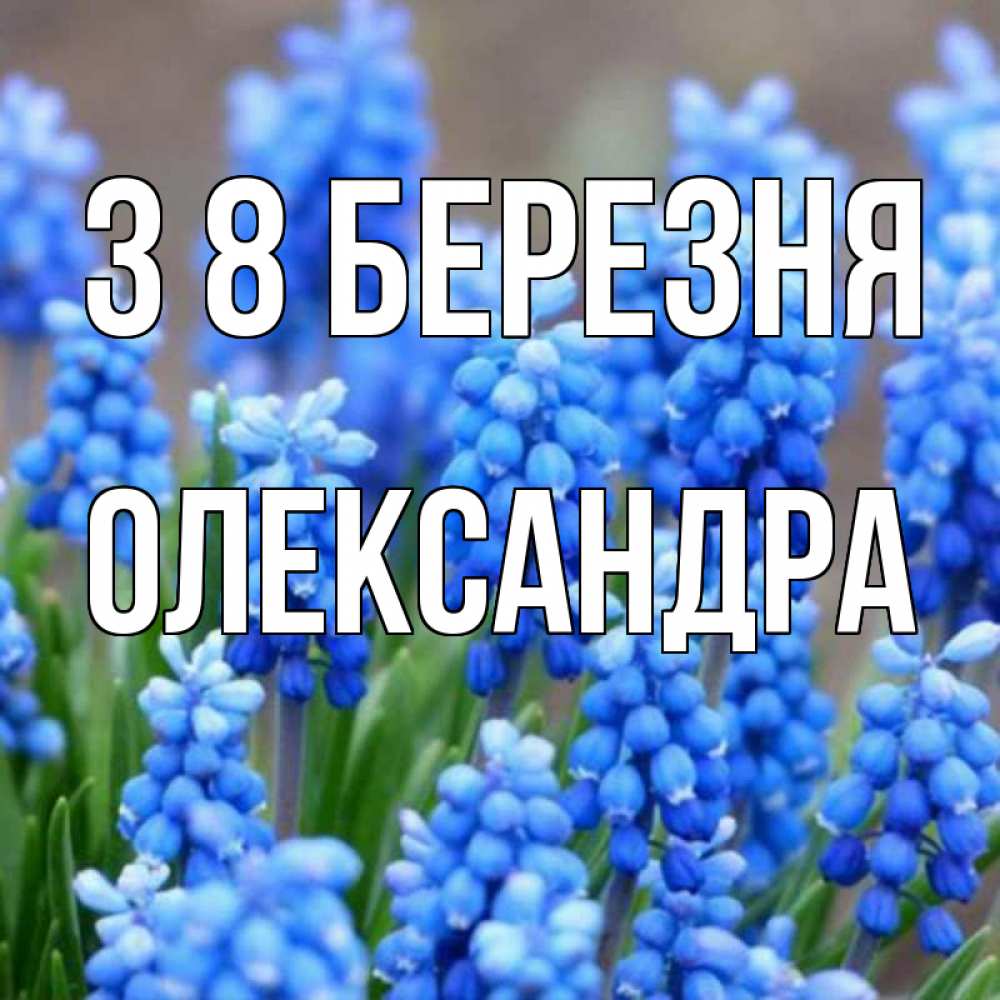 Открытка на каждый день з підписом, Олександра З 8 БЕРЕЗНЯ Поздравительная открытка для женщин с цветами на праздничную дату Прикольна листівка з побажанням онлайн скачати безкоштовно 
