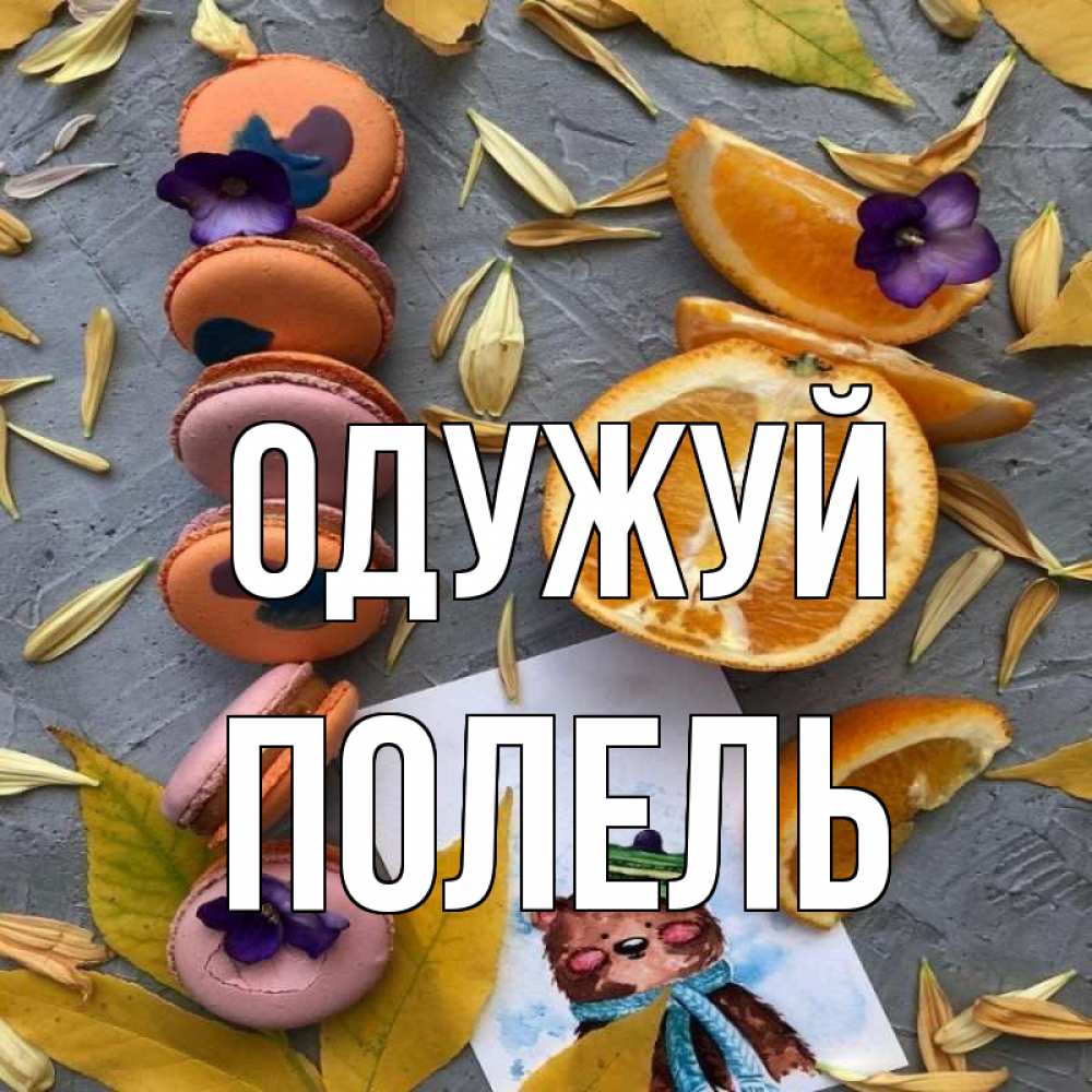 Открытка на каждый день з підписом, Полель Одужуй не болейте Прикольна листівка з побажанням онлайн скачати безкоштовно 