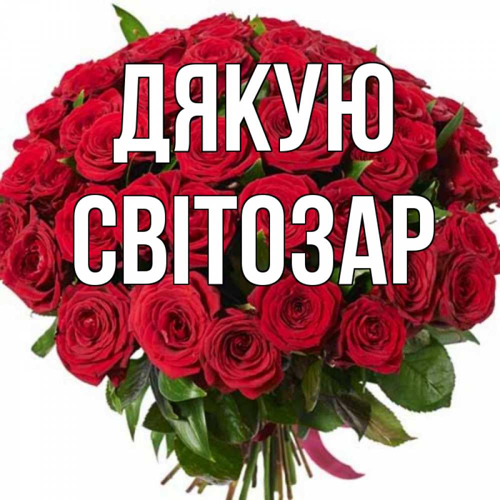 Открытка на каждый день з підписом, Світозар Дякую букет красных роз Прикольна листівка з побажанням онлайн скачати безкоштовно 