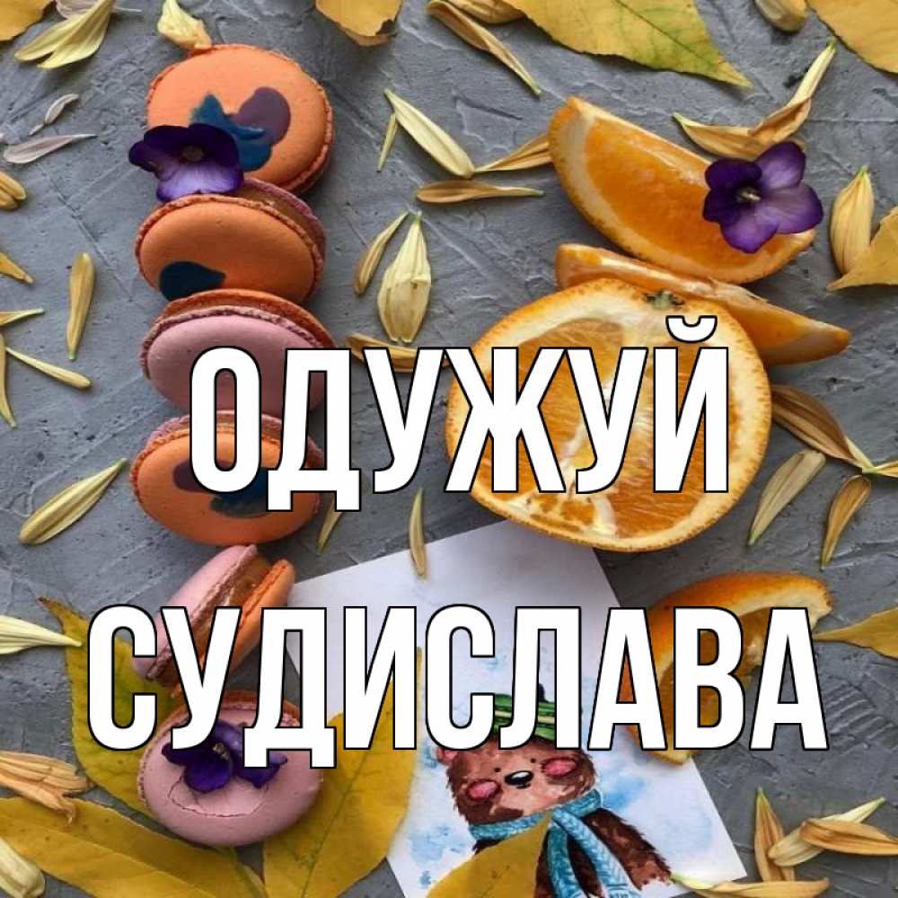 Открытка на каждый день з підписом, Судислава Одужуй не болейте Прикольна листівка з побажанням онлайн скачати безкоштовно 