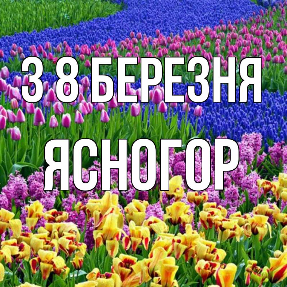 Открытка на каждый день з підписом, Ясногор З 8 БЕРЕЗНЯ цветы Прикольна листівка з побажанням онлайн скачати безкоштовно 