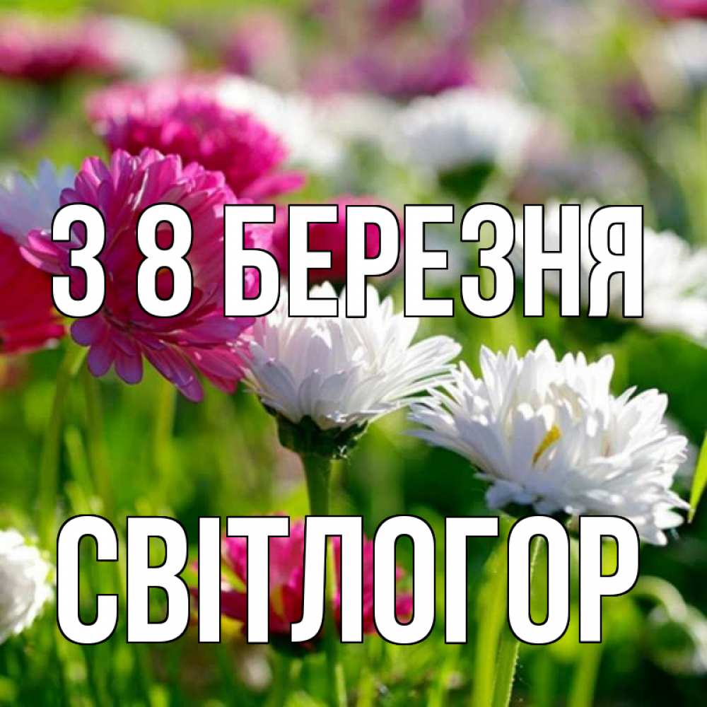 Открытка на каждый день з підписом, Світлогор З 8 БЕРЕЗНЯ международный женский день 1 Прикольна листівка з побажанням онлайн скачати безкоштовно 