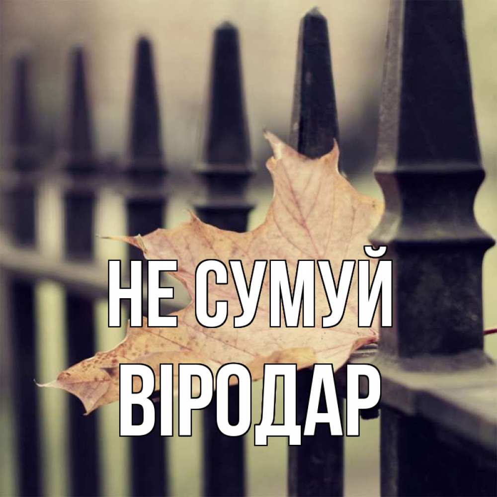 Открытка на каждый день з підписом, Віродар Не сумуй лист клена Прикольна листівка з побажанням онлайн скачати безкоштовно 
