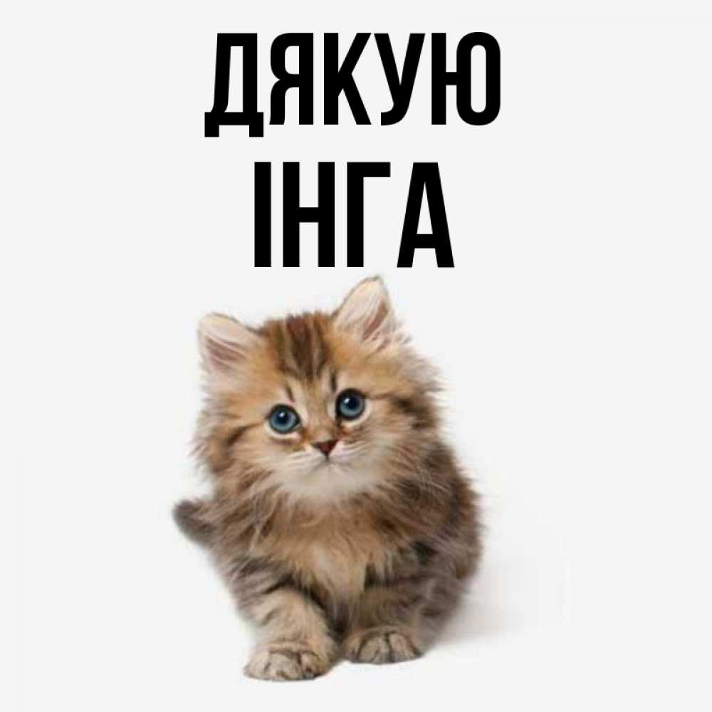 Открытка на каждый день з підписом, Інга Дякую пушистый котик Прикольна листівка з побажанням онлайн скачати безкоштовно 