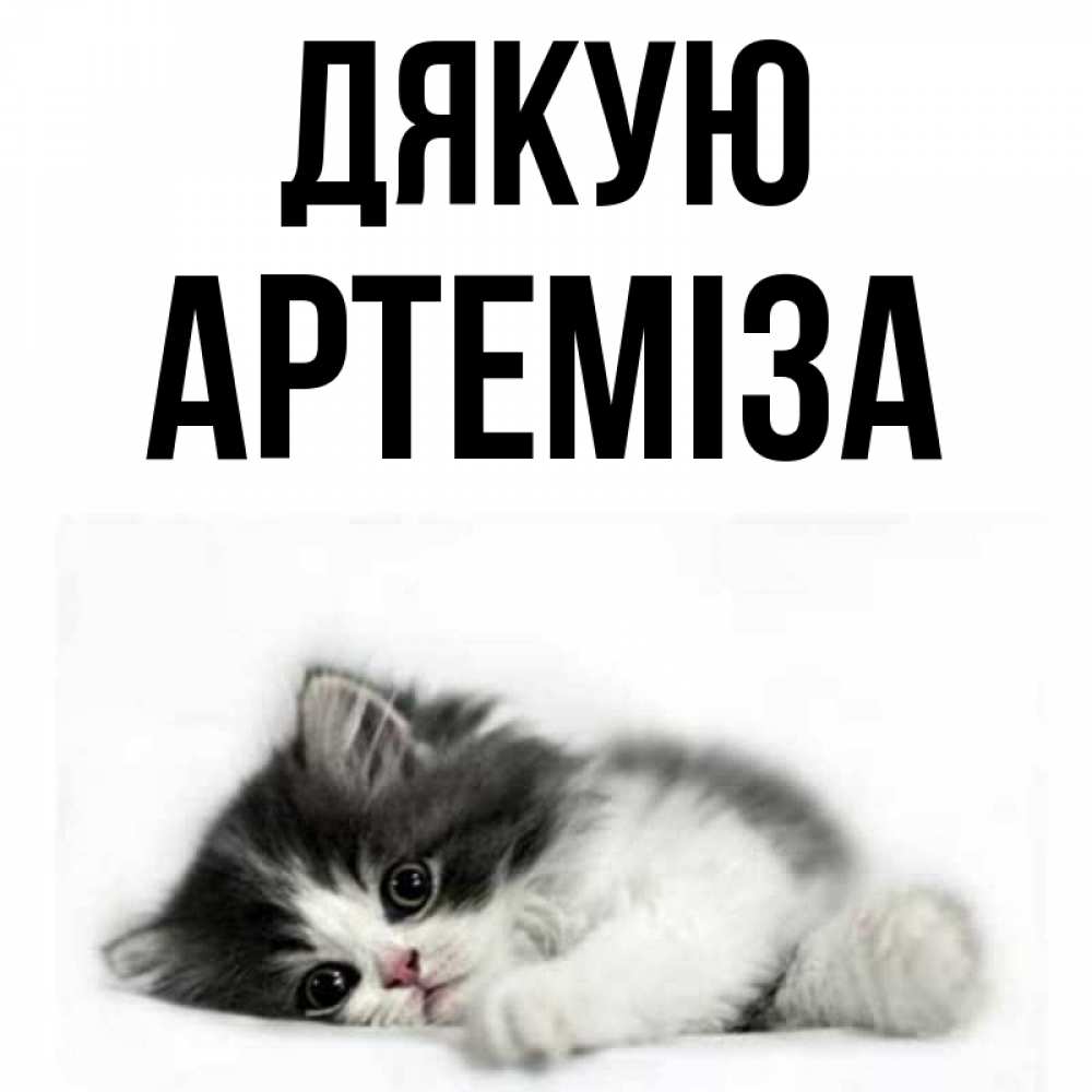 Открытка на каждый день з підписом, Артеміза Дякую черный и белый кот Прикольна листівка з побажанням онлайн скачати безкоштовно 