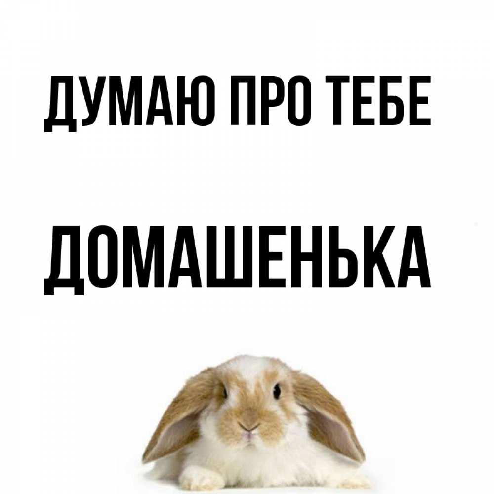 Открытка на каждый день з підписом, Домашенька Думаю про тебе подписать своими руками онлайн Прикольна листівка з побажанням онлайн скачати безкоштовно 
