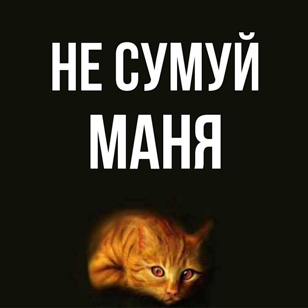 Открытка на каждый день з підписом, Маня Не сумуй лежащий кот в темноте Прикольна листівка з побажанням онлайн скачати безкоштовно 