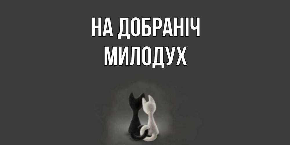 Открытка на каждый день з підписом, Милодух На добраніч коты Прикольна листівка з побажанням онлайн скачати безкоштовно 