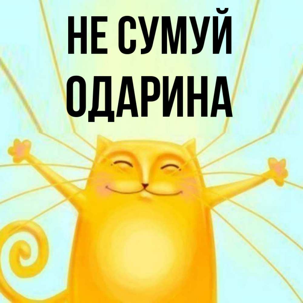 Открытка на каждый день з підписом, Одарина Не сумуй обнимашки усатые Прикольна листівка з побажанням онлайн скачати безкоштовно 