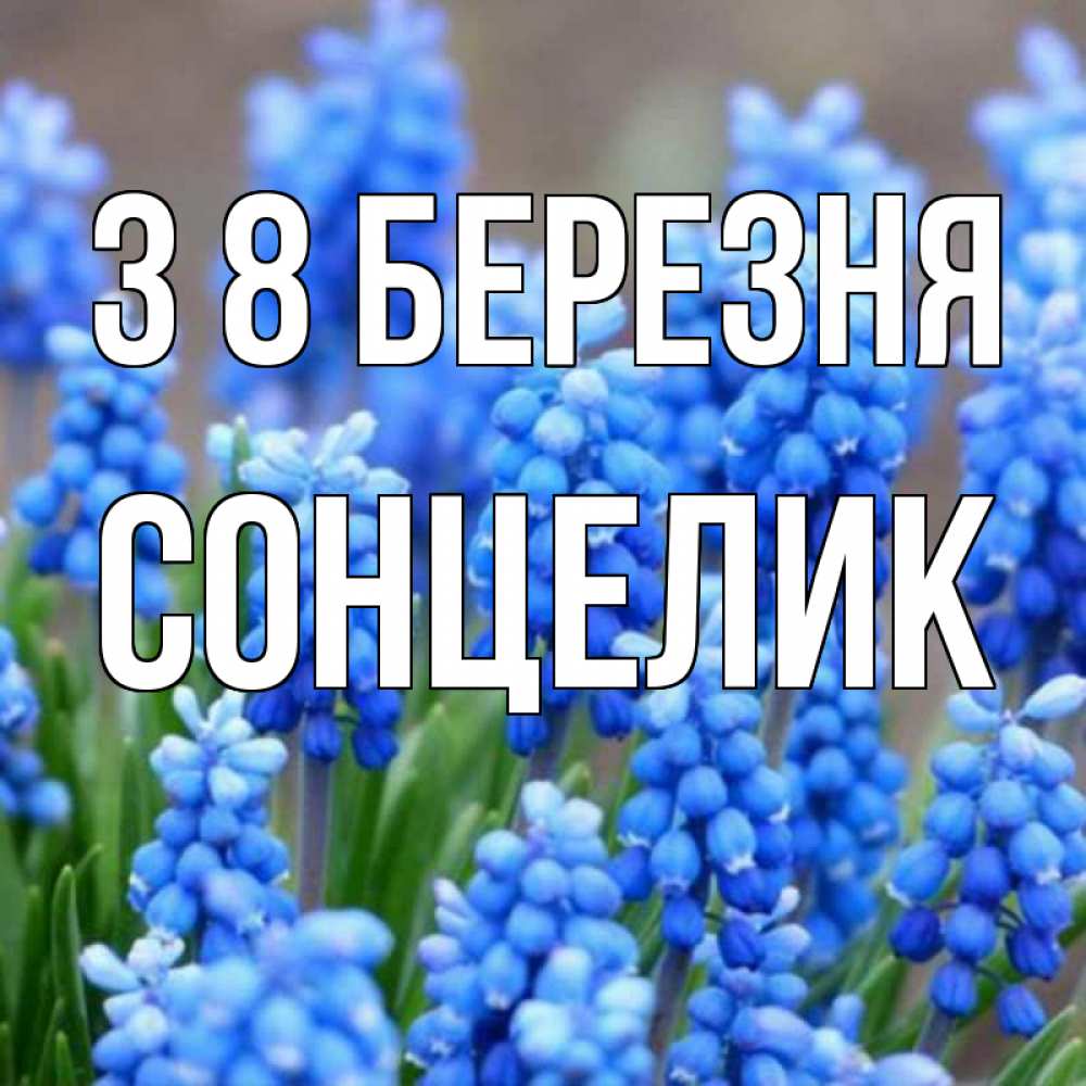 Открытка на каждый день з підписом, Сонцелик З 8 БЕРЕЗНЯ Поздравительная открытка для женщин с цветами на праздничную дату Прикольна листівка з побажанням онлайн скачати безкоштовно 