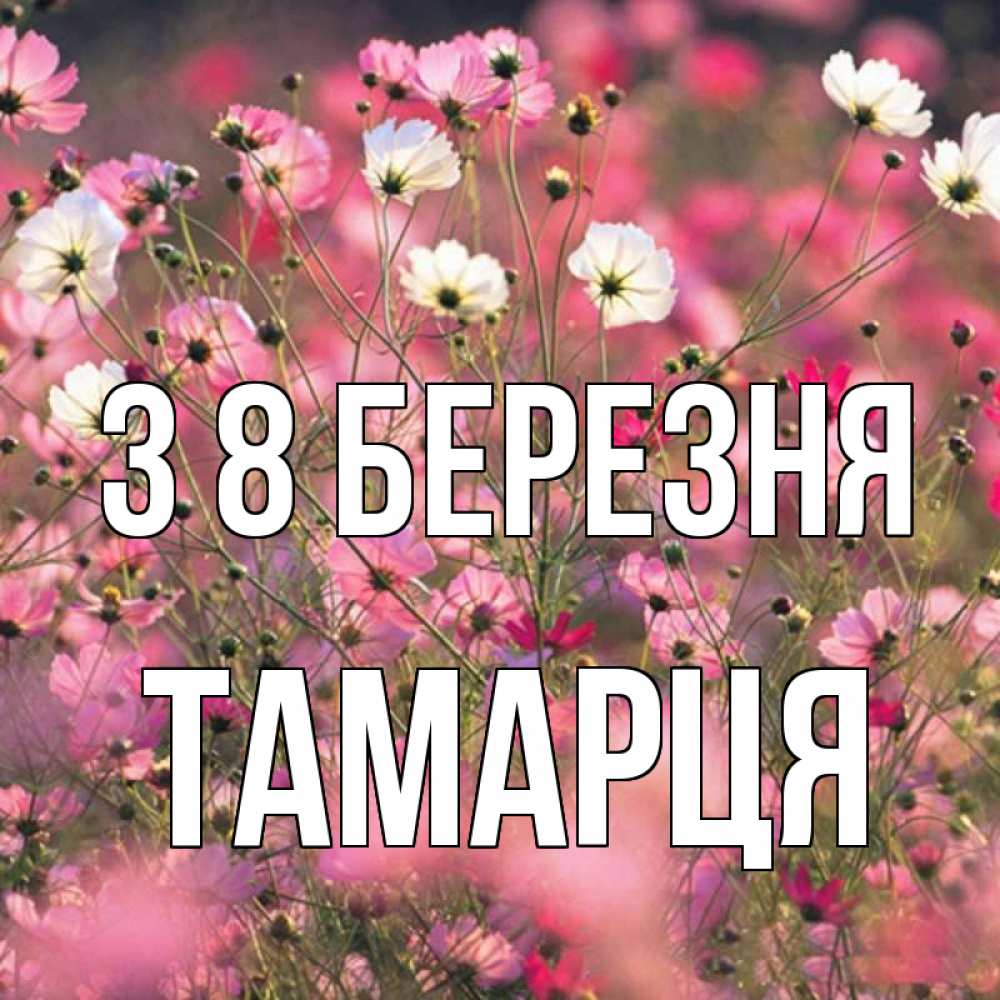 Открытка на каждый день з підписом, Тамарця З 8 БЕРЕЗНЯ красиво 1 Прикольна листівка з побажанням онлайн скачати безкоштовно 