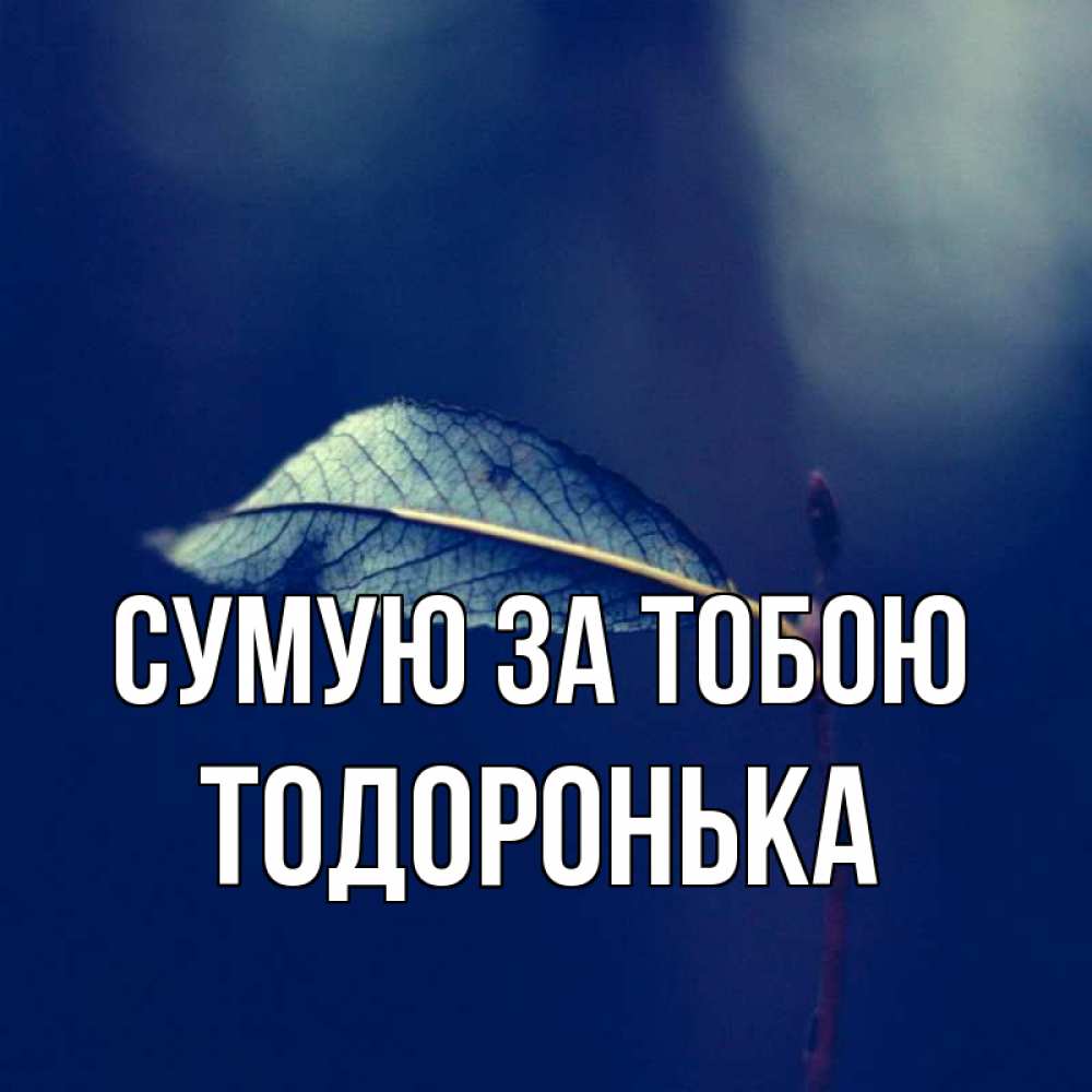 Открытка на каждый день з підписом, Тодоронька Сумую за тобою одна ветка 1 Прикольна листівка з побажанням онлайн скачати безкоштовно 