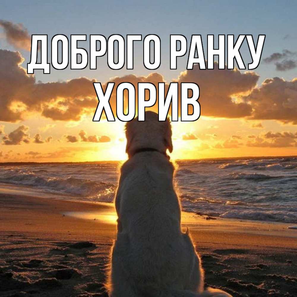 Открытка на каждый день з підписом, Хорив Доброго ранку восход солнца Прикольна листівка з побажанням онлайн скачати безкоштовно 