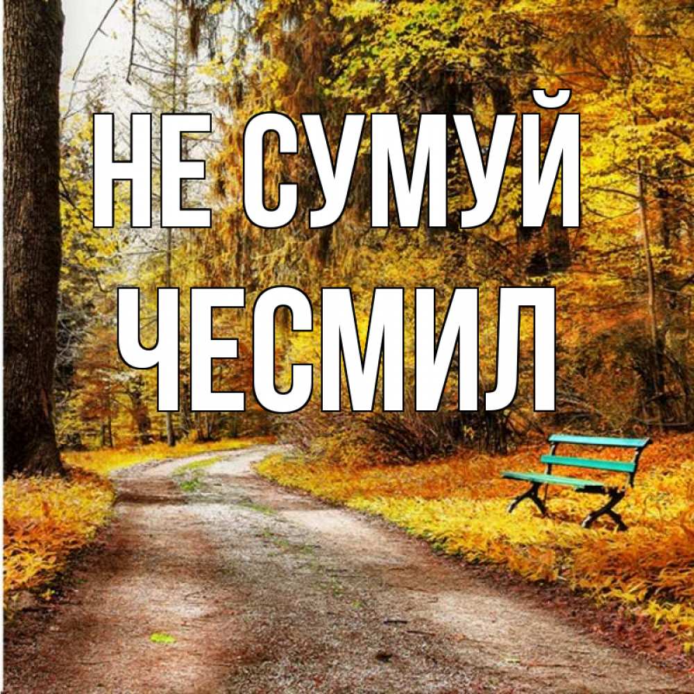 Открытка на каждый день з підписом, Чесмил Не сумуй зеленая лавочка Прикольна листівка з побажанням онлайн скачати безкоштовно 