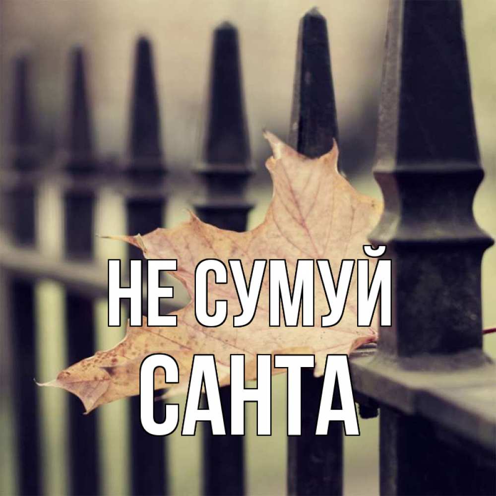 Открытка на каждый день з підписом, Санта Не сумуй лист клена Прикольна листівка з побажанням онлайн скачати безкоштовно 