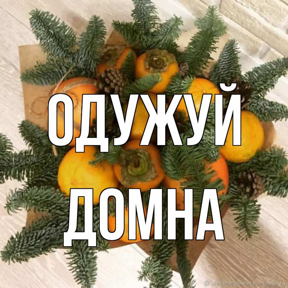 Открытка на каждый день з підписом, Домна Одужуй апельсины и хурьма Прикольна листівка з побажанням онлайн скачати безкоштовно 