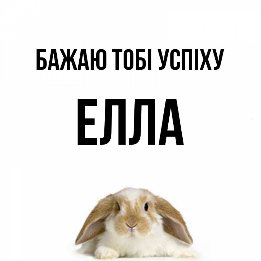 Открытка на каждый день з підписом, Елла Бажаю тобі успіху открытки с произвольным текстом который можно вставить в открытку и создать ее самостоятельно бесплатно онлайн Прикольна листівка з побажанням онлайн скачати безкоштовно 