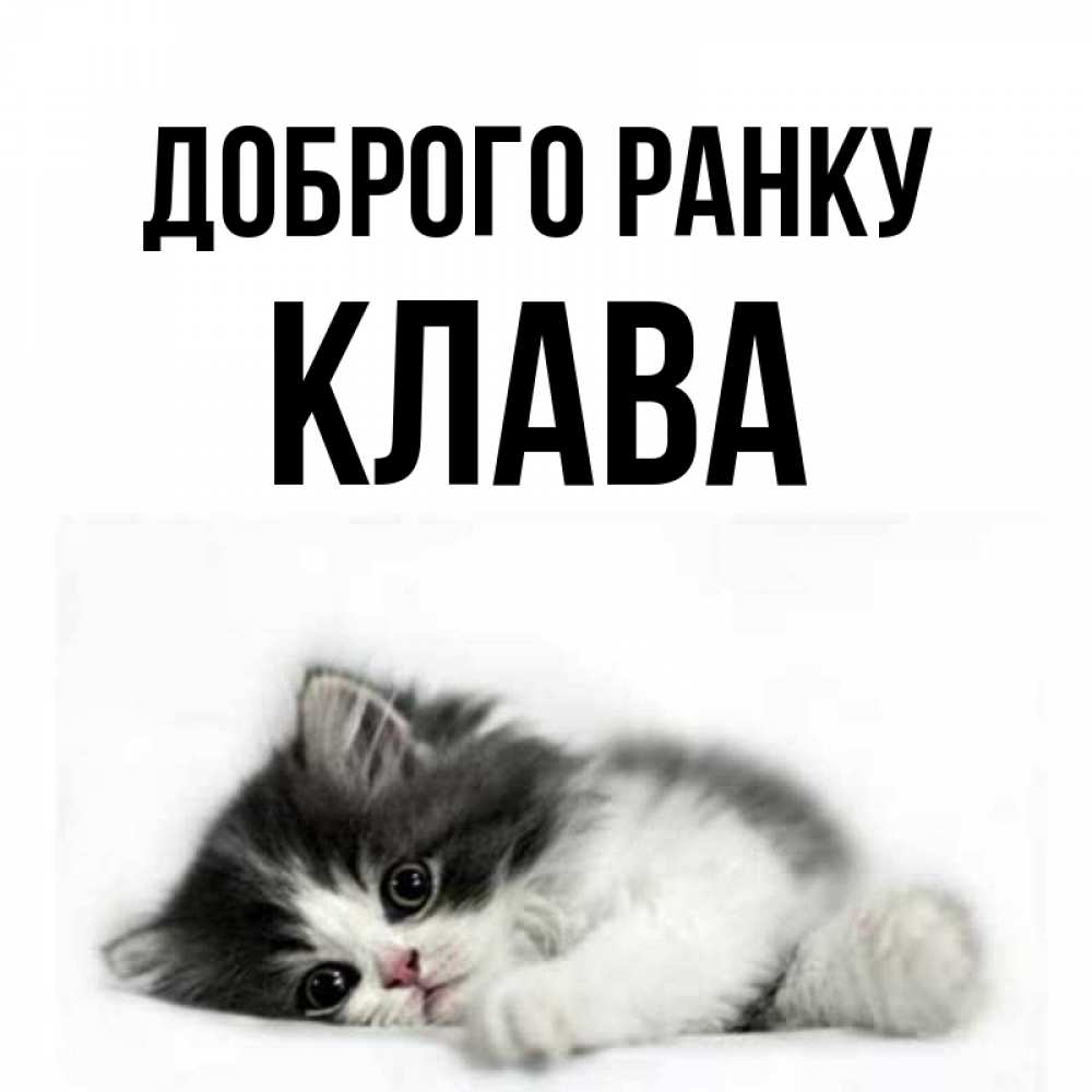 Открытка на каждый день з підписом, Клава Доброго ранку кот лапки Прикольна листівка з побажанням онлайн скачати безкоштовно 