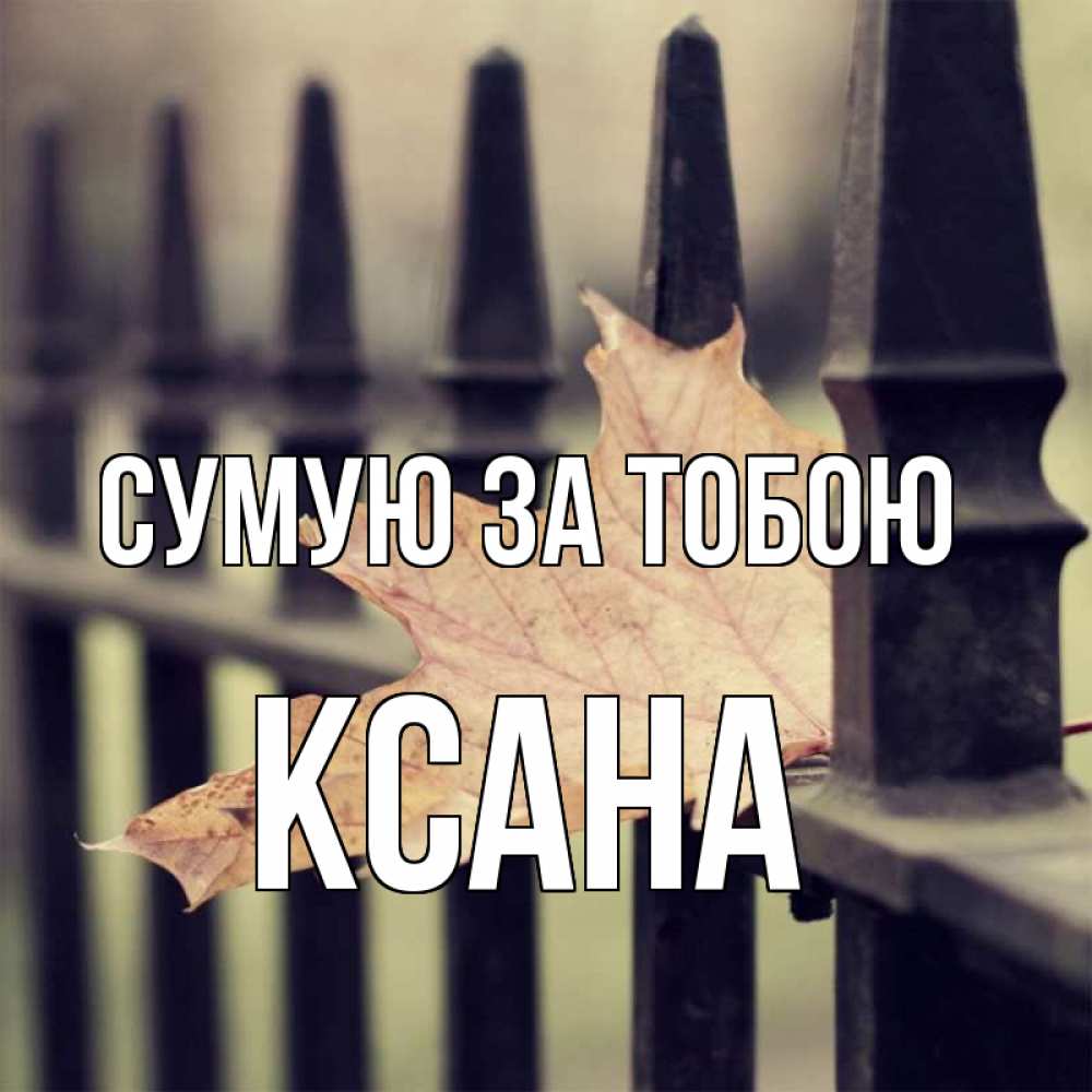 Открытка на каждый день з підписом, Ксана Сумую за тобою очень скучно Прикольна листівка з побажанням онлайн скачати безкоштовно 