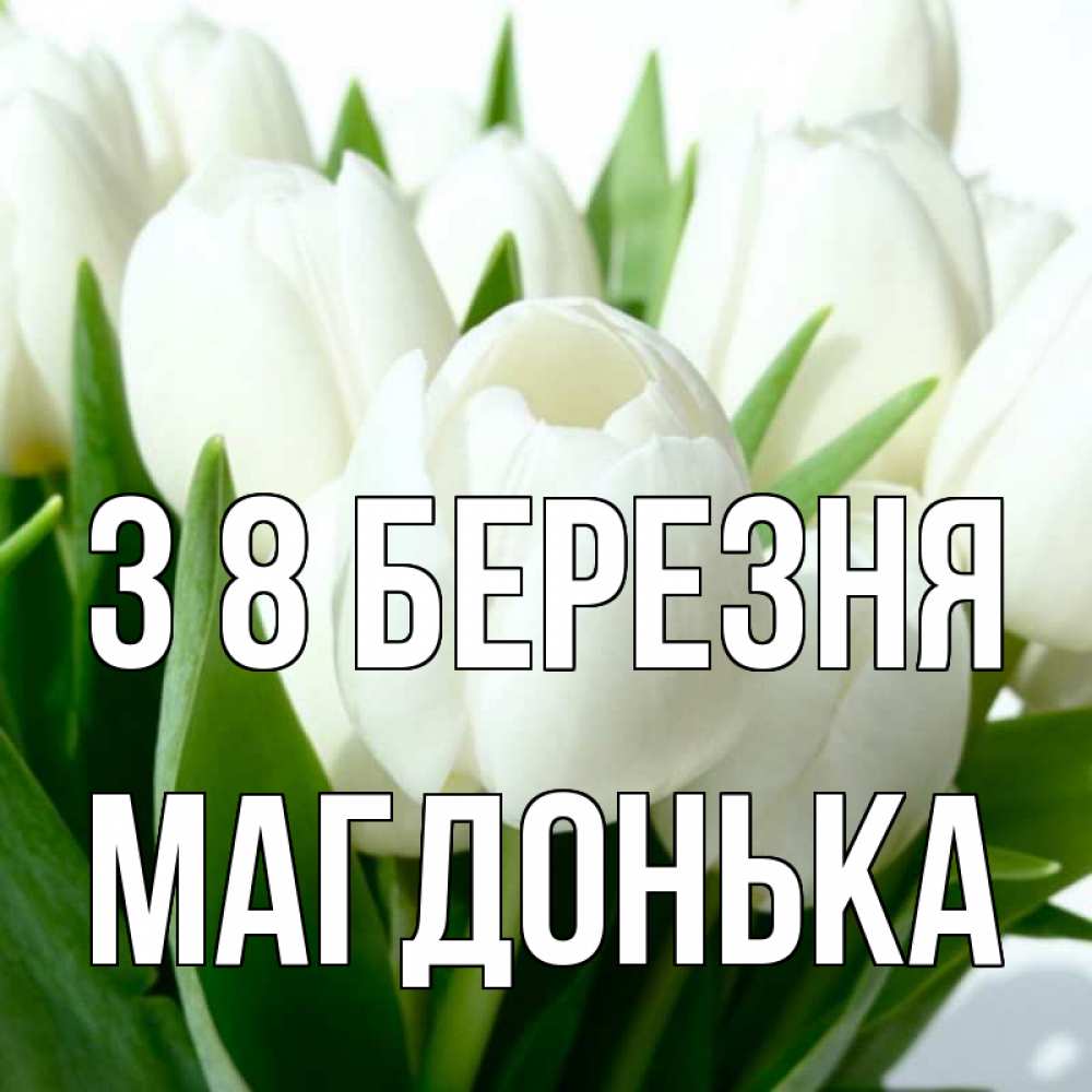 Открытка на каждый день з підписом, Магдонька З 8 БЕРЕЗНЯ цветы Прикольна листівка з побажанням онлайн скачати безкоштовно 