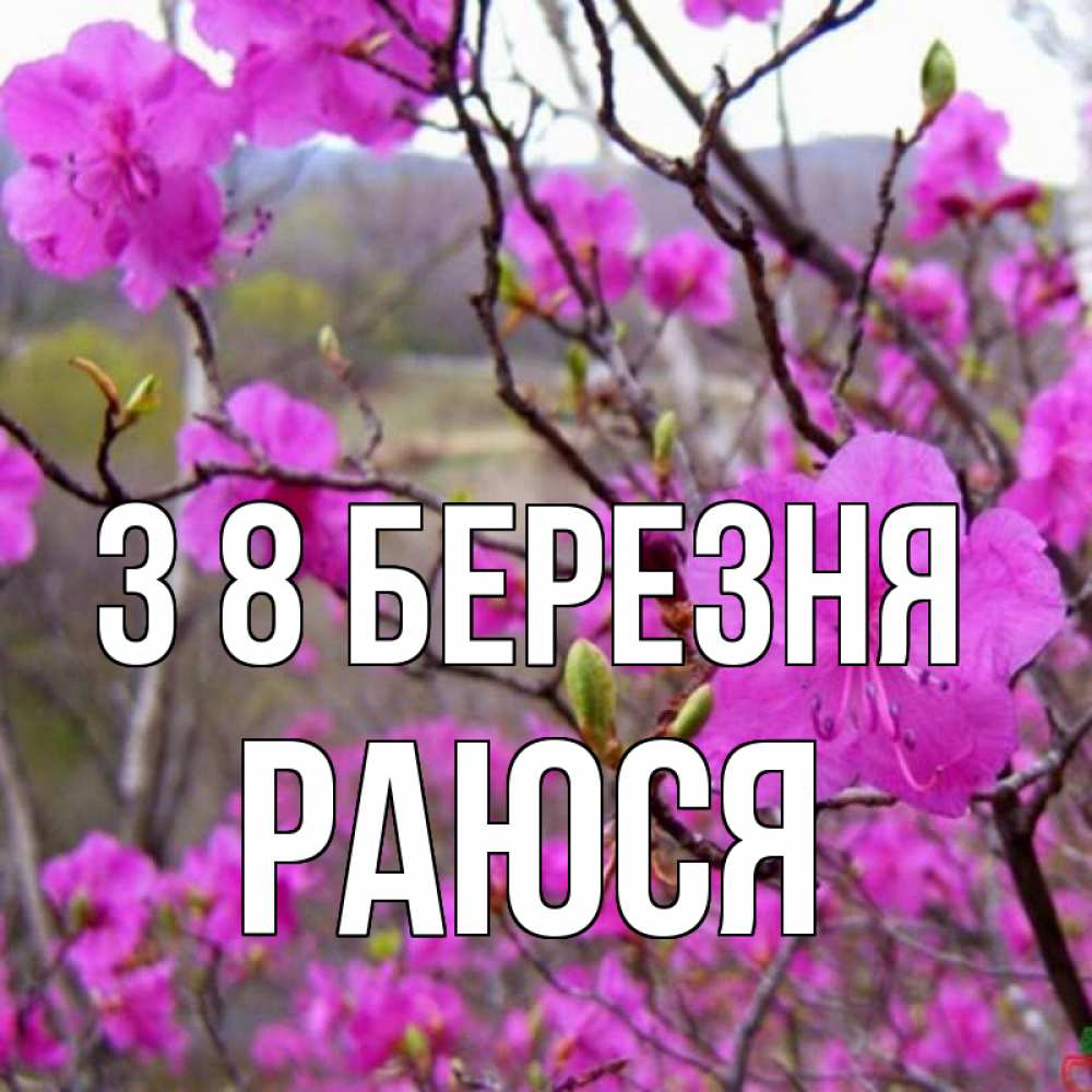 Открытка на каждый день з підписом, Раюся З 8 БЕРЕЗНЯ международный женский день Прикольна листівка з побажанням онлайн скачати безкоштовно 