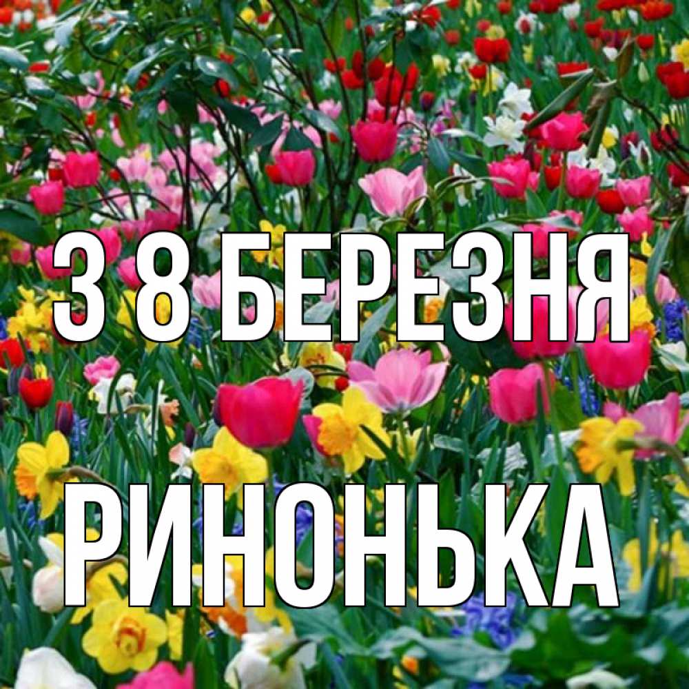 Открытка на каждый день з підписом, Ринонька З 8 БЕРЕЗНЯ с международным женским днем поздравления для женщины Прикольна листівка з побажанням онлайн скачати безкоштовно 