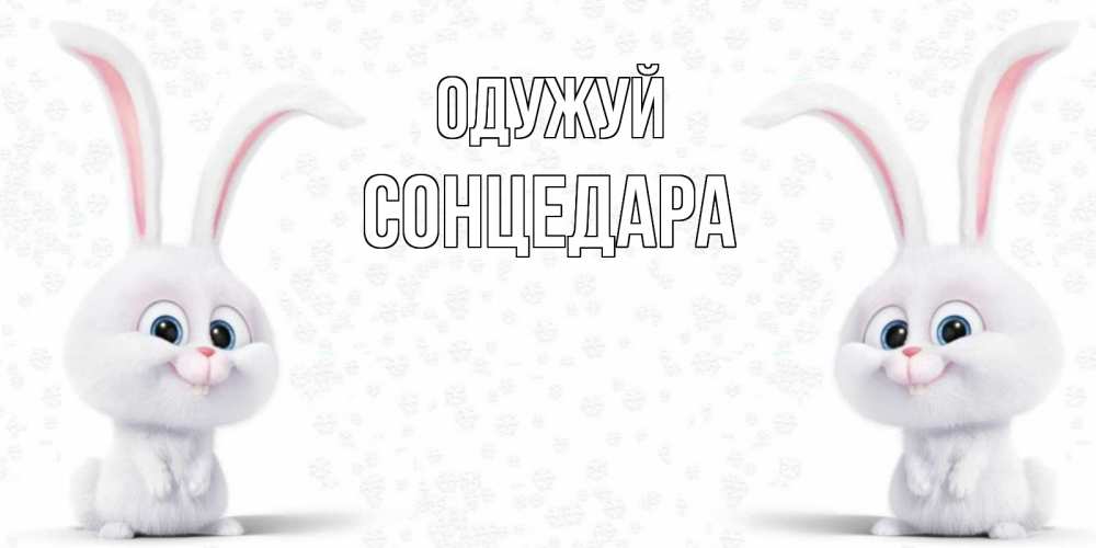 Открытка на каждый день з підписом, Сонцедара Одужуй не болей с зайцем Прикольна листівка з побажанням онлайн скачати безкоштовно 