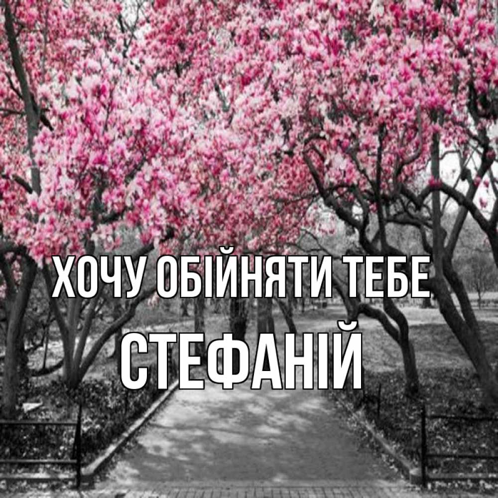 Открытка на каждый день з підписом, Стефаній Хочу обійняти тебе обработанное фото Прикольна листівка з побажанням онлайн скачати безкоштовно 