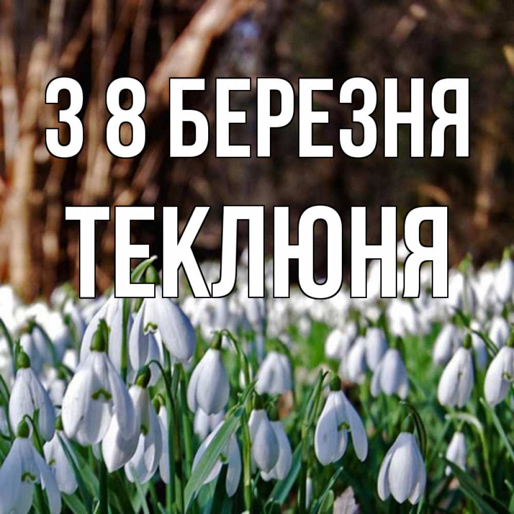 Открытка на каждый день з підписом, Теклюня З 8 БЕРЕЗНЯ с подснежниками 1 Прикольна листівка з побажанням онлайн скачати безкоштовно 