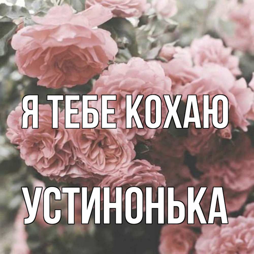 Открытка на каждый день з підписом, Устинонька Я тебе кохаю розы 3 Прикольна листівка з побажанням онлайн скачати безкоштовно 
