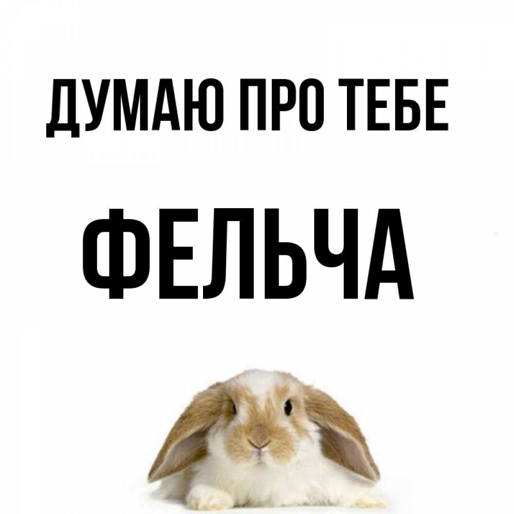 Открытка на каждый день з підписом, Фельча Думаю про тебе подписать своими руками онлайн Прикольна листівка з побажанням онлайн скачати безкоштовно 