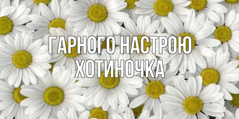 Открытка на каждый день з підписом, Хотиночка Гарного настрою поляна ромашек Прикольна листівка з побажанням онлайн скачати безкоштовно 