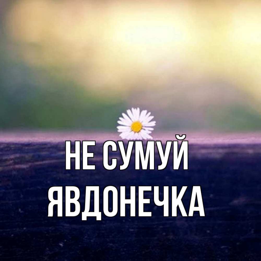 Открытка на каждый день з підписом, Явдонечка Не сумуй красота Прикольна листівка з побажанням онлайн скачати безкоштовно 