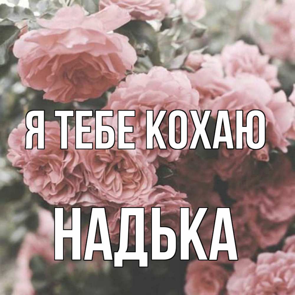 Открытка на каждый день з підписом, Надька Я тебе кохаю розы 3 Прикольна листівка з побажанням онлайн скачати безкоштовно 