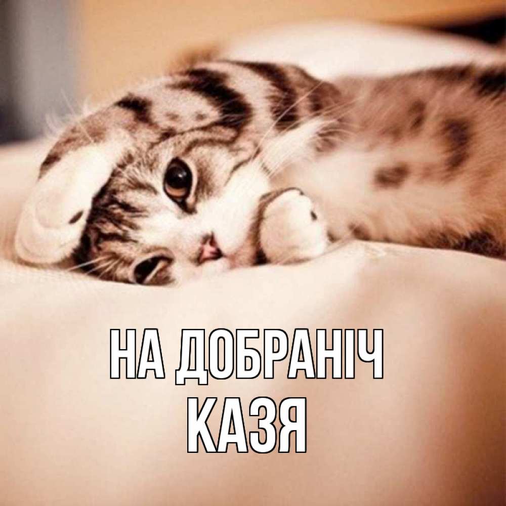 Открытка на каждый день з підписом, Казя На добраніч сладких снов с животными Прикольна листівка з побажанням онлайн скачати безкоштовно 