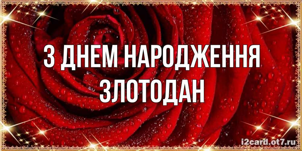 Открытка на каждый день з підписом, Злотодан З Днем народження роса на розе блестящая в лучах солнца Прикольна листівка з побажанням онлайн скачати безкоштовно 