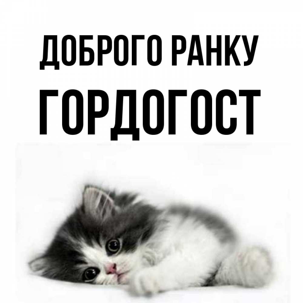 Открытка на каждый день з підписом, Гордогост Доброго ранку кот лапки Прикольна листівка з побажанням онлайн скачати безкоштовно 