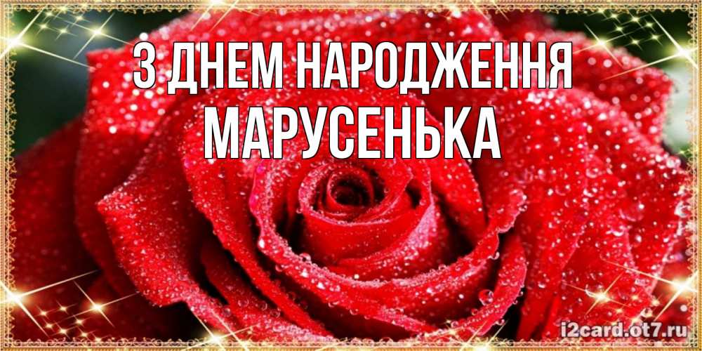 Открытка на каждый день з підписом, Марусенька З Днем народження роса и роза. открытка с красивой розой Прикольна листівка з побажанням онлайн скачати безкоштовно 