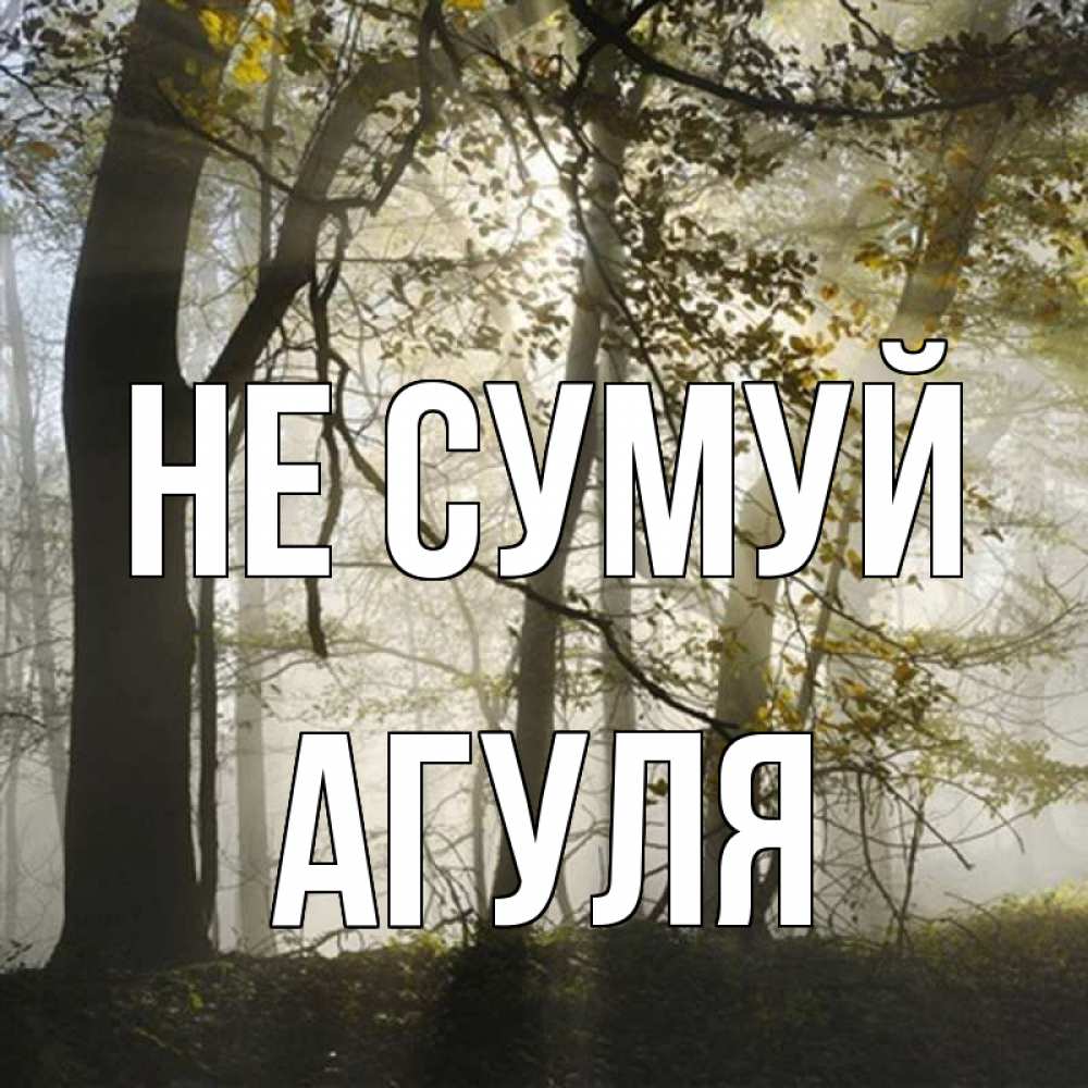 Открытка на каждый день з підписом, Агуля Не сумуй лес и свет Прикольна листівка з побажанням онлайн скачати безкоштовно 