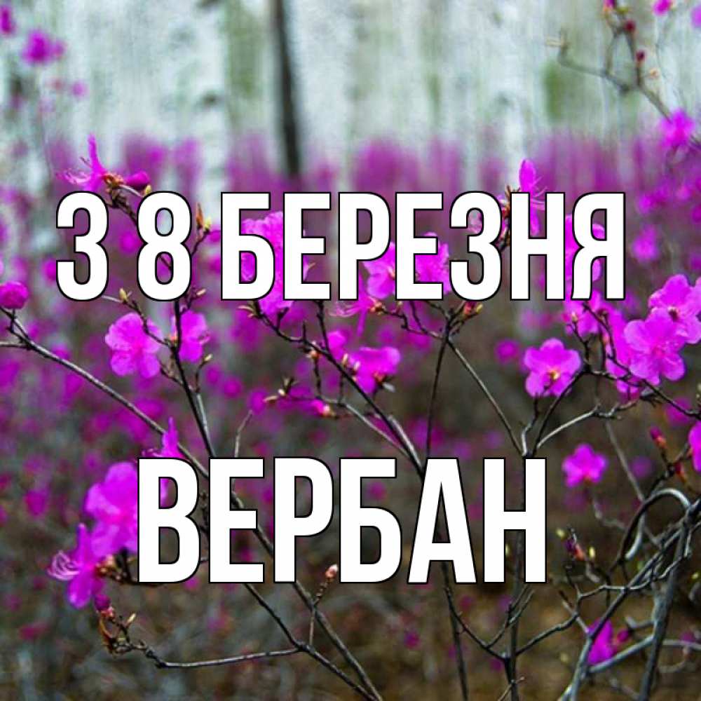 Открытка на каждый день з підписом, Вербан З 8 БЕРЕЗНЯ дикие цветы Прикольна листівка з побажанням онлайн скачати безкоштовно 