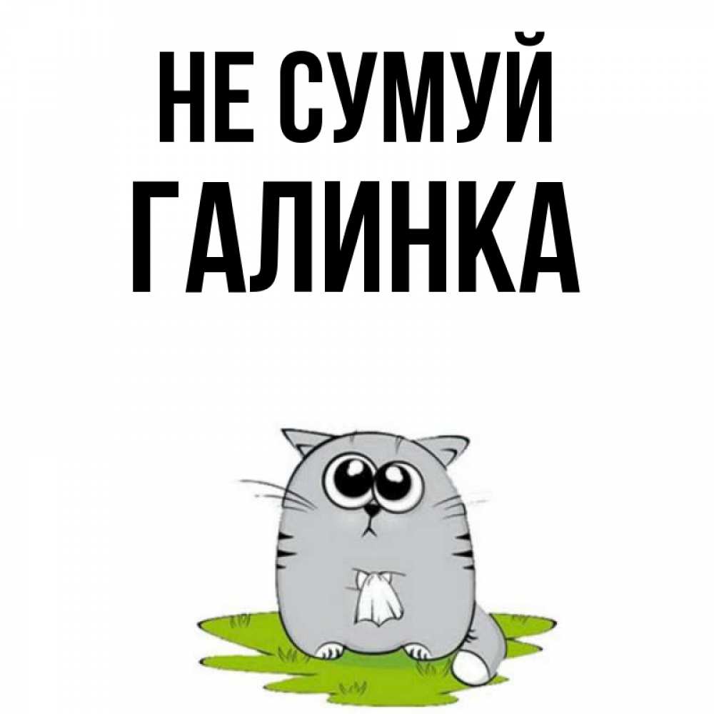 Открытка на каждый день з підписом, Галинка Не сумуй грустный котяра Прикольна листівка з побажанням онлайн скачати безкоштовно 