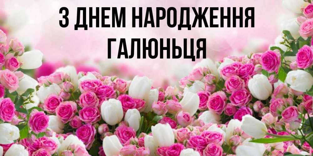Открытка на каждый день з підписом, Галюньця З Днем народження открытка с разными розами Прикольна листівка з побажанням онлайн скачати безкоштовно 