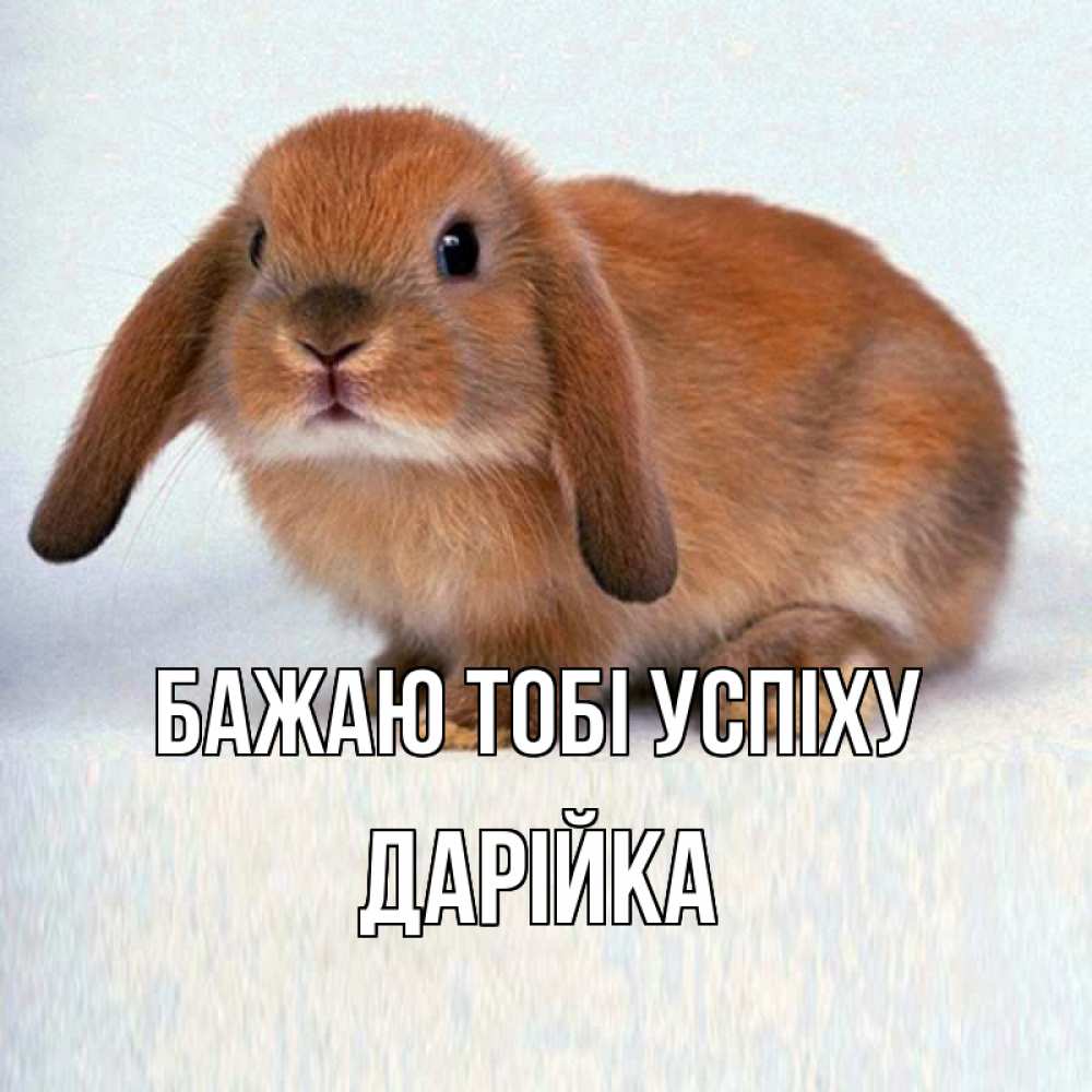 Открытка на каждый день з підписом, Дарійка Бажаю тобі успіху вставить текст в открытку по выбору Прикольна листівка з побажанням онлайн скачати безкоштовно 
