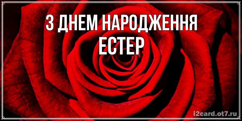 Открытка на каждый день з підписом, Естер З Днем народження алая роза Прикольна листівка з побажанням онлайн скачати безкоштовно 
