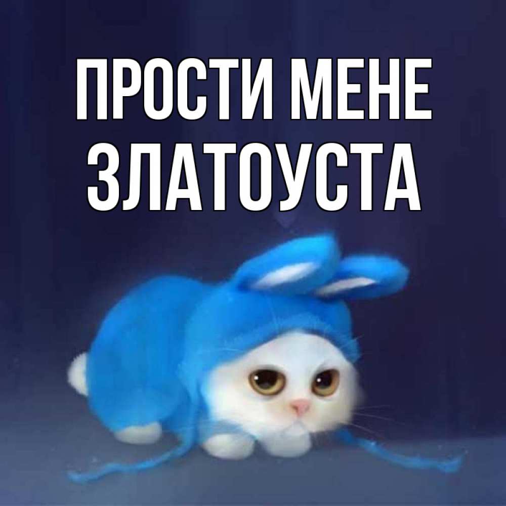 Открытка на каждый день з підписом, Златоуста Прости мене невинный котозай просит прощения Прикольна листівка з побажанням онлайн скачати безкоштовно 
