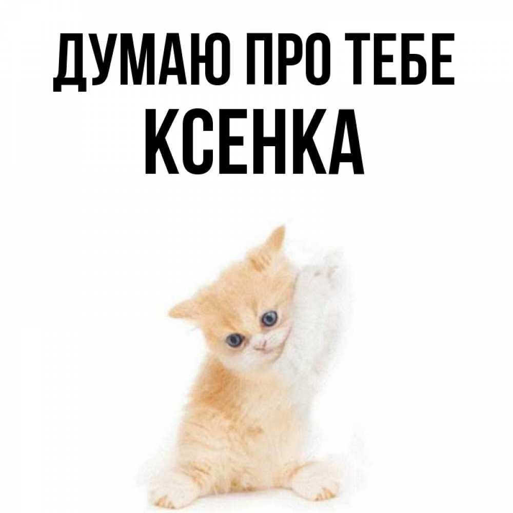 Открытка на каждый день з підписом, Ксенка Думаю про тебе зверушки и милота Прикольна листівка з побажанням онлайн скачати безкоштовно 