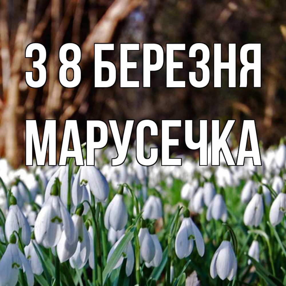 Открытка на каждый день з підписом, Марусечка З 8 БЕРЕЗНЯ с подснежниками 1 Прикольна листівка з побажанням онлайн скачати безкоштовно 