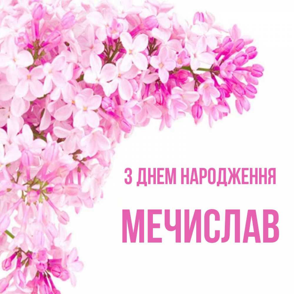Открытка на каждый день з підписом, Мечислав З Днем народження Сирень на белом фоне Прикольна листівка з побажанням онлайн скачати безкоштовно 
