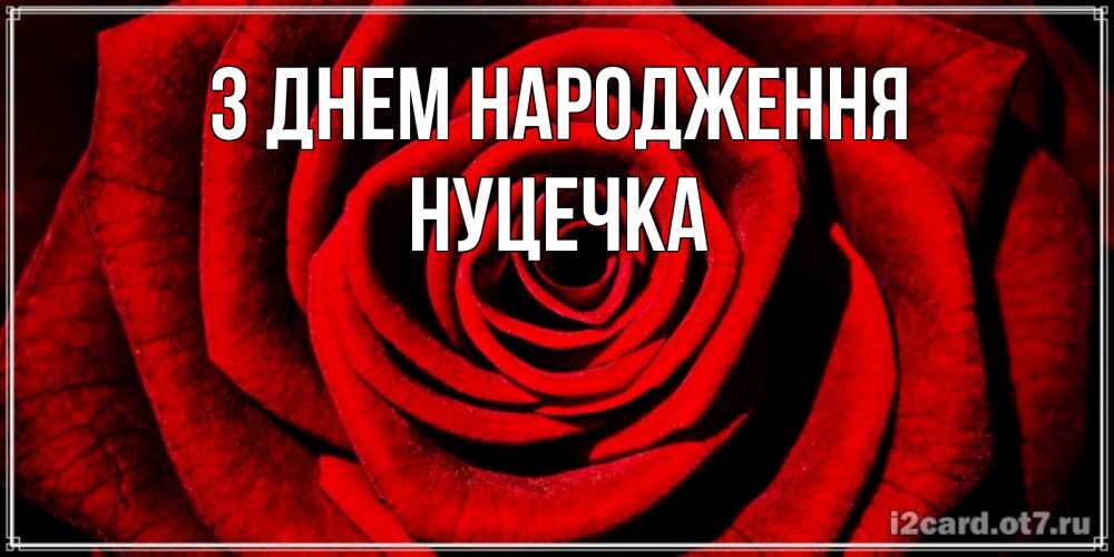 Открытка на каждый день з підписом, Нуцечка З Днем народження алая роза Прикольна листівка з побажанням онлайн скачати безкоштовно 